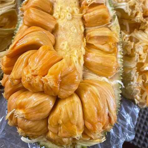 Cempedak Fruit Plant (Artocarpus integer) – veliyathgardens