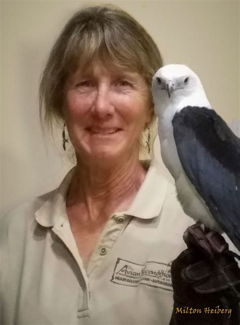 Rehabilitating Birds of Prey by the Avian Reconditioning Center, Harry ...