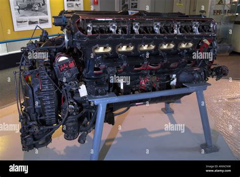 Merlin Engine 的图像结果