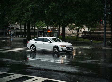 Image result for Free Bitmap