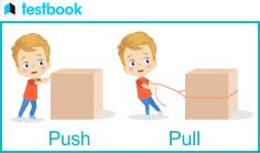 Pull Force Examples 的图像结果