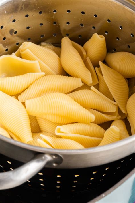 Image result for Shaghetti Shells