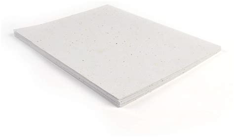 Buy Basil Seed Paper, Seed Paper, Seed Embedded Paper, plantable Paper ...