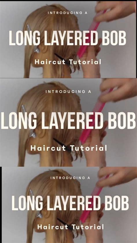 Bob Tutorial 的图像结果