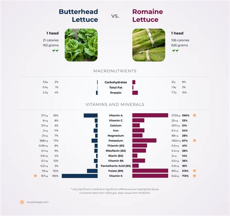 Nutrition Comparison: Butterhead Lettuce Vs Romaine Lettuce