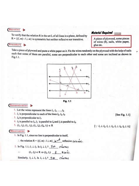 Maths Activity Class 12 的图像结果