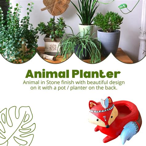 Animal planter – biobloomsshop