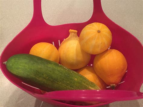 Garden Harvest Baskets and Colander - GardensAll