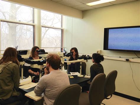 Cornell Diagnostic Lab at Jo Diggs blog