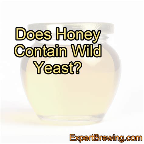 Does Honey Contain Wild Yeast? – ExpertBrewing.com