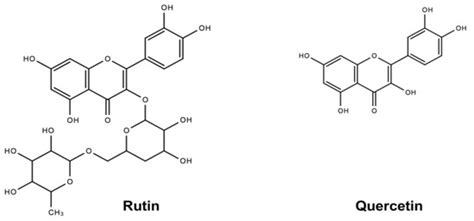 Rutin and Quercetin Decrease Cholesterol in HepG2 Cells but Not Plasma ...