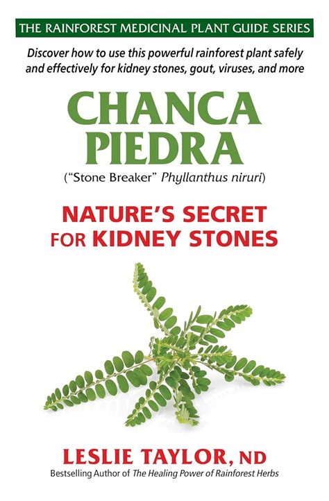 Chanca Piedra: Nature’s Secret for Kidney Stones (The Rainforest ...