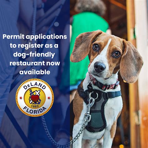 DeLand formally opens permitting process to allow dogs at outside areas ...