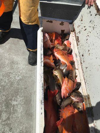 J&M Sportfishing (Monterey) - All You Need to Know BEFORE You Go