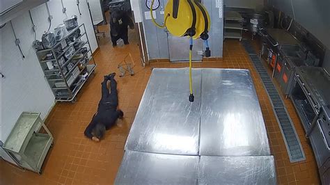 Image result for Bear Attacks Washing Machine