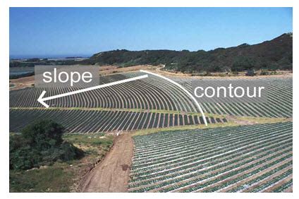 Agriculture in GOODU: AEG-101-Class-8,9,10 : Principles of Erosion Control