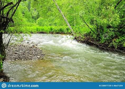 Image result for River Table Project