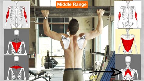 Pull Ups Muscles Worked