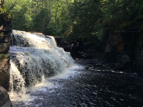 Are Dogs Allowed At Canyon Falls Mi