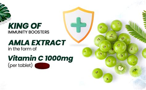 Vlado's Himalayan Organics Natural Vitamin C Supplements Amla Extract ...