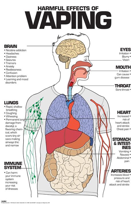 Best 12 Effects of Smoking – Artofit