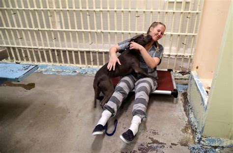 In This Prison, Inmates Help Out Rescued Animals And In Turn Themselves