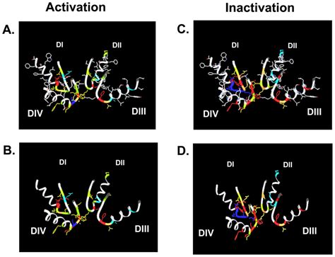 Marine Drugs | Special Issue : Tetrodotoxin 2011