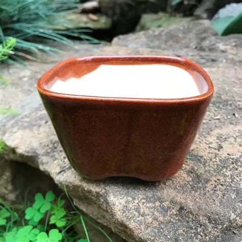 Square Bonsai Ceramic Planter