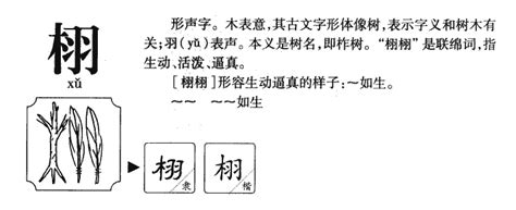 栩的意思-栩字五行属什么-栩字取名的寓意 - 起名网