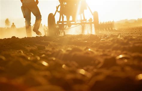 Happy brazilian planter farmers using plows to prepare the land for ...