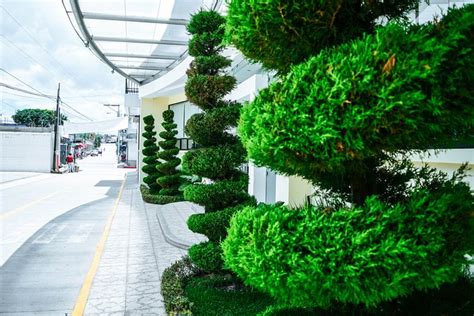 HOTEL BAJA CALIFORNIA (Huehuetenango) - Hotel Reviews & Photos ...