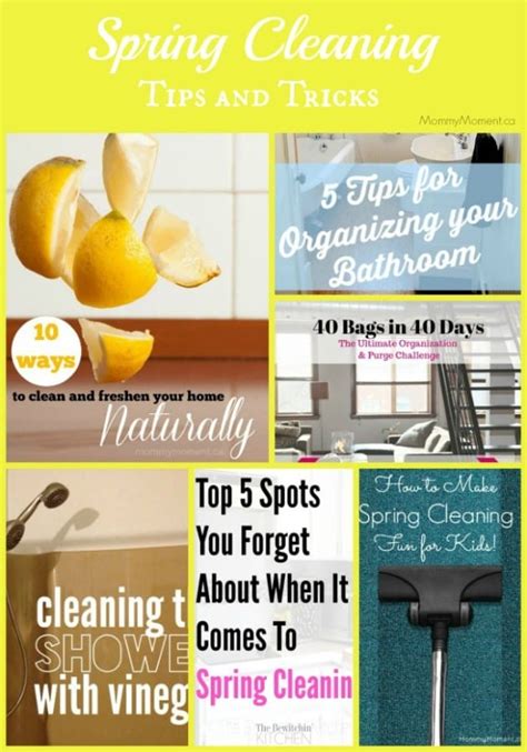 Image result for Simple Spring Cleaning Tips