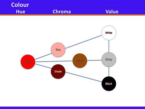 D'source Colour Studies | Design Considerations | D'Source Digital ...