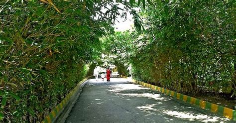 Vuda Park Vizag Is A Serene Spot You Must Explore In 2025