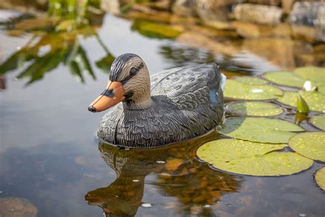 Buy PondH2o Floating Mallard Duck Pair Pond Décor Contains One Male ...