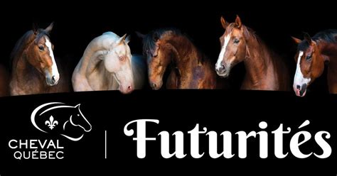 Futurités 2024 pour poneys Welsh, Cobs et Demi-sangs , Centre ...