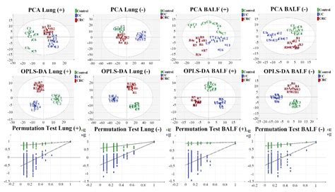 A Comprehensive Analysis of Microflora and Metabolites in the ...