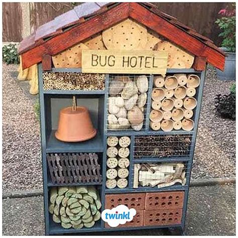 Fancy Some Classroom Inspiration? - Twinkl