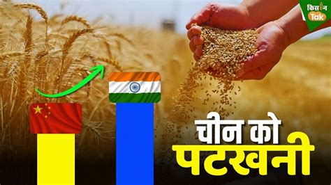Wheat: गेहूं की खेती में भारत की बड़ी छलांग, पैदावार की रफ्तार में पीछे ...