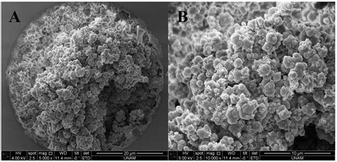 Hydrophobic AEROSIL®R972 Fumed Silica Nanoparticles Incorporated ...