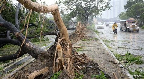 Typhoon Glenda Kills 10 While Slamming Into Manila in Philippines ...