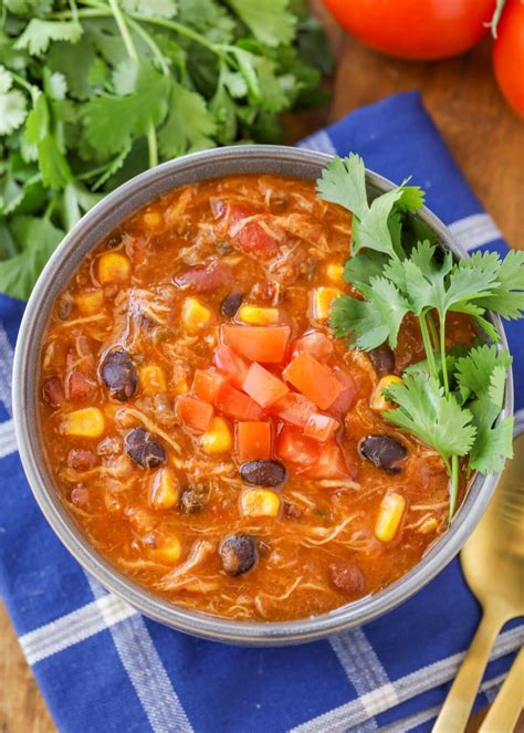 Easy Chicken Taco Soup {In the crock pot!} | Lil' Luna