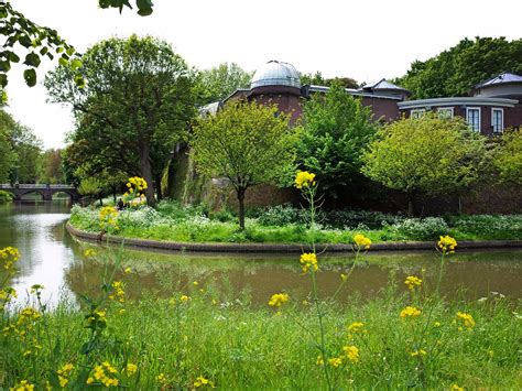 UTRECHT TRAVELLER (2026) All You Need to Know BEFORE You Go (w/ Reviews ...