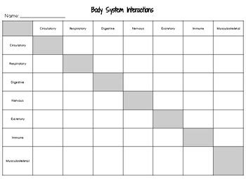 Body System Interaction Chart 的图像结果