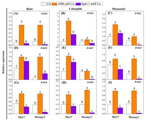 Spermidine Suppressed the Inhibitory Effects of Polyamines Inhibitors ...