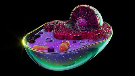 Image result for Cell Structure Animation