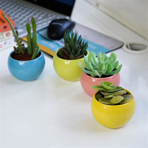 Ekhasa Small Ceramic Pots for Plants with Drainage Hole | Planters Pot ...