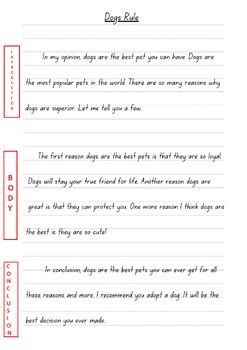 Image result for 3 Paragraph Essay Example