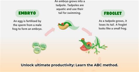 Image result for ABC Method Time Management