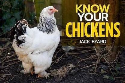 Know Your Chickens: Buy Know Your Chickens by Byad Jack at Low Price in ...